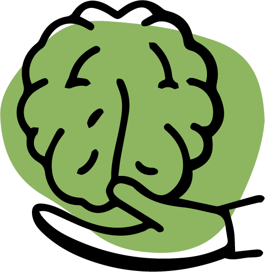 green-brain-in-hand-icon-psychosis-treatment-doodle-icon