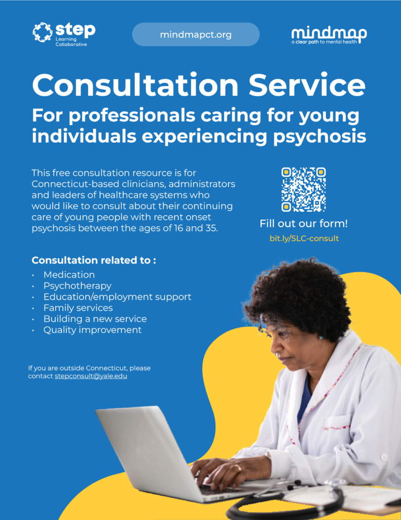 step learning collaborative consultationo services flyer preview image
