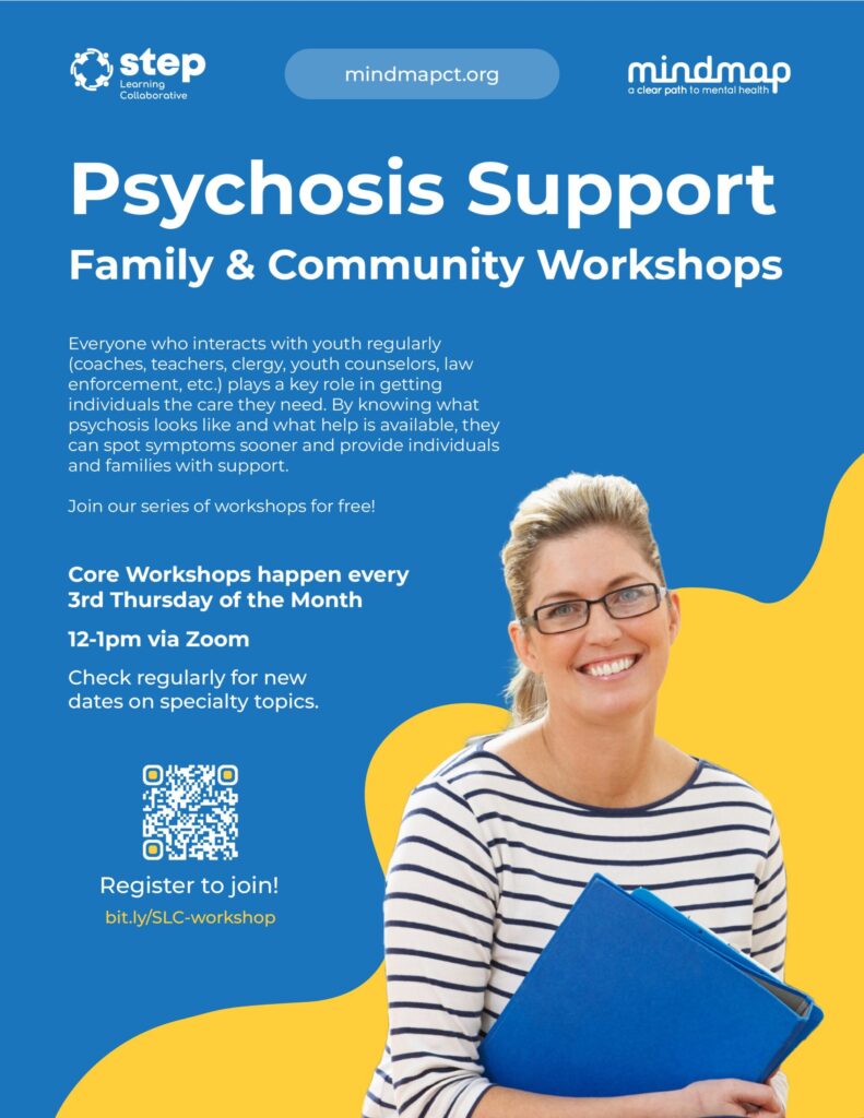 Psychosis Support Family and Community Workshop flyer for professionals